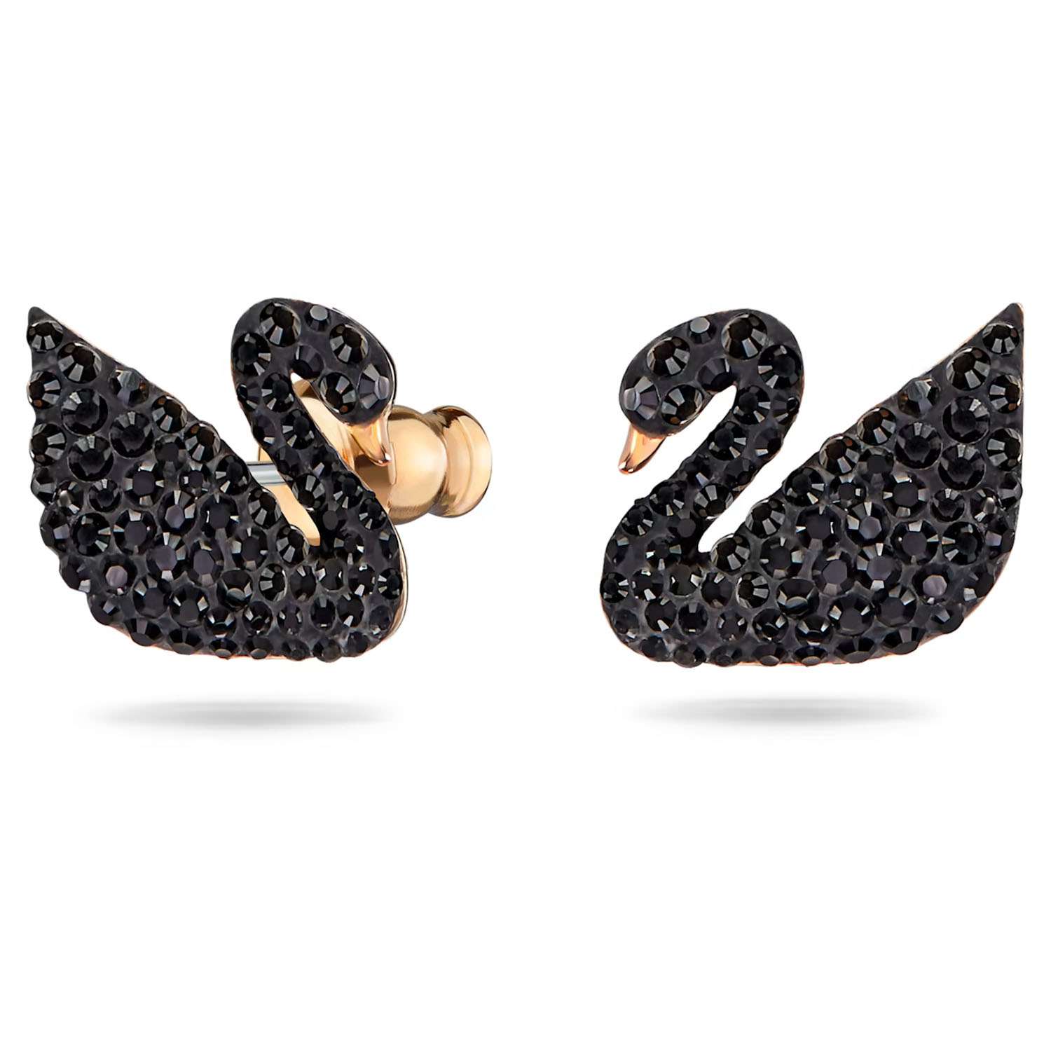 Schwarze Swarovski Iconic Schwan Ohrstecker 5193949b