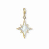 Vergoldeter Thomas Sabo Stern Charm mit Perlmutt 1539 429 14